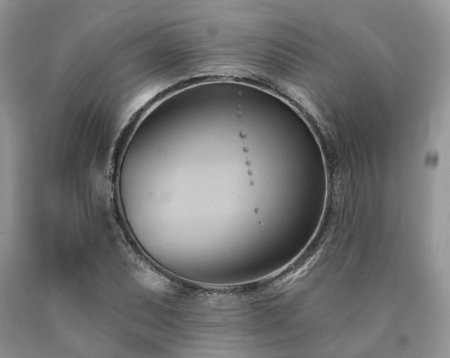 X0000090781071200707201519