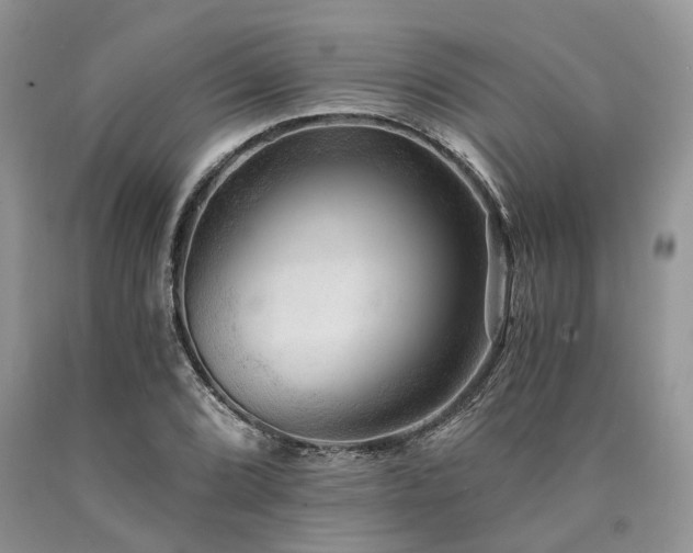 X0000090781072200707201519