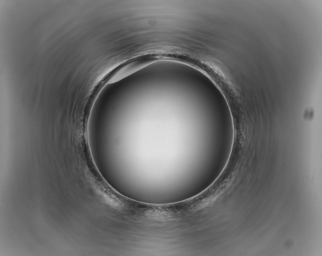 X0000090781073200707201519