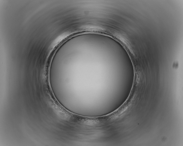 X0000090781074200707201519