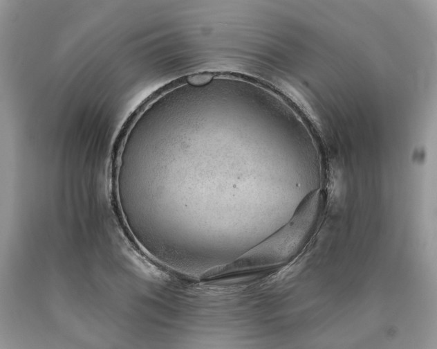 X0000090781076200707201519