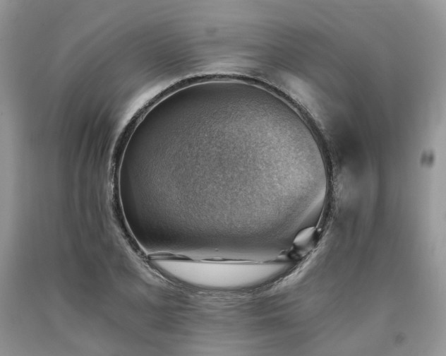 X0000090781077200707201519