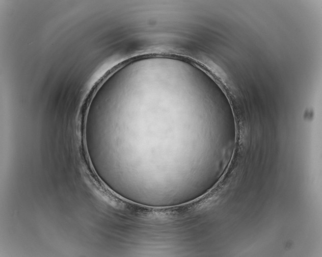 X0000090781078200707201519