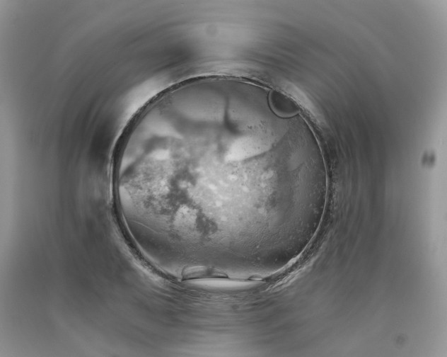 X0000090781079200707201519