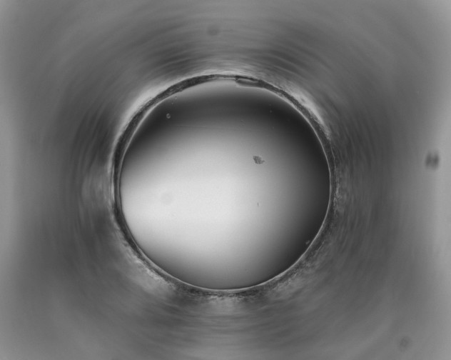 X0000090781080200707201519