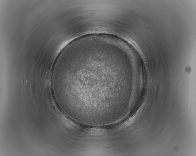 X0000090781081200707201519