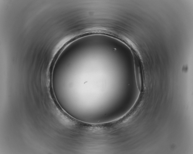 X0000090781082200707201519