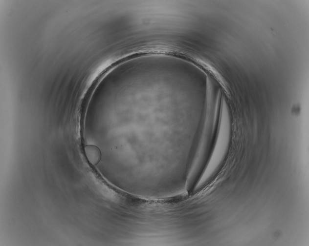 X0000090781083200707201519