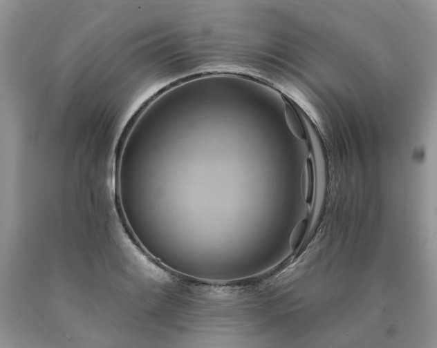 X0000090781084200707201519