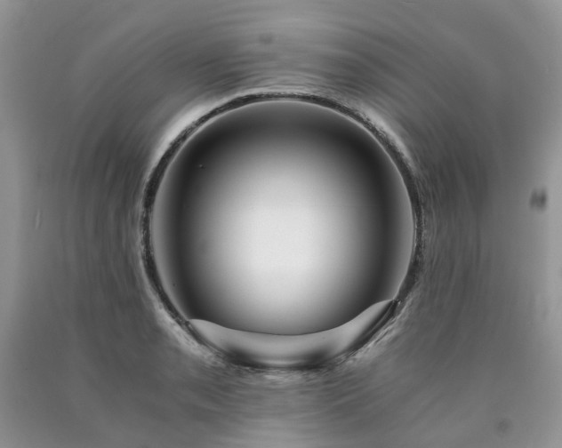 X0000090781085200707201519