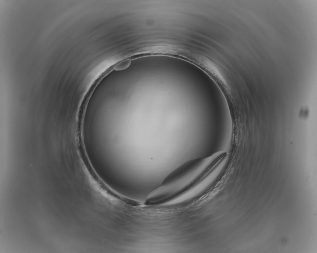 X0000090781087200707201518