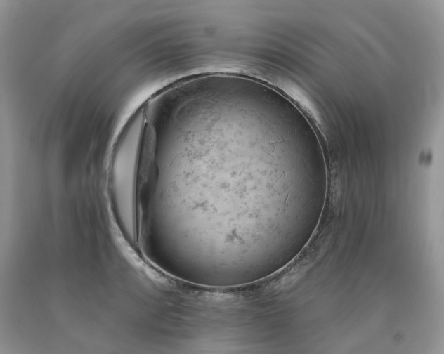 X0000090781088200707201518