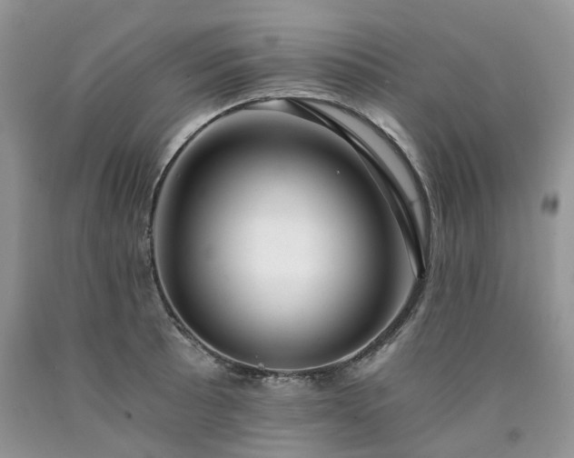 X0000090781089200707201518
