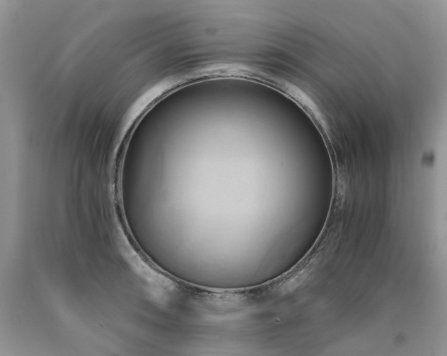 X0000090781090200707201518
