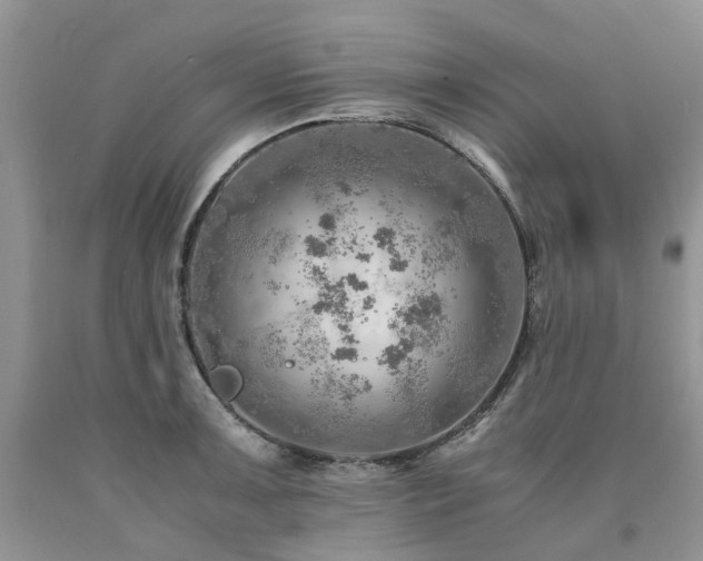 X0000090781091200707201518