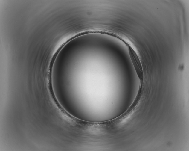 X0000090781093200707201518