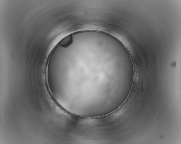 X0000090781094200707201518
