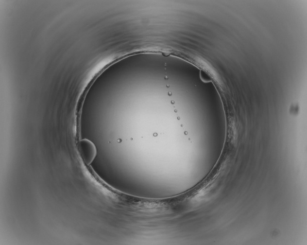 X0000090781095200707201518