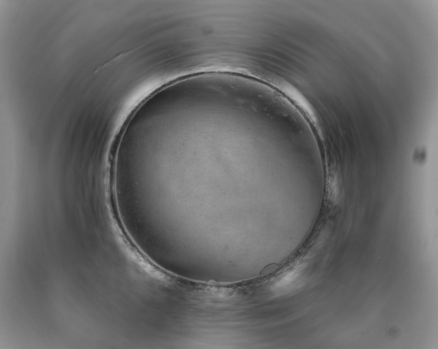 X0000090781096200707201518
