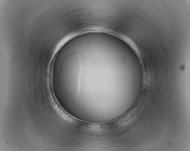 X0000090781098200707201518