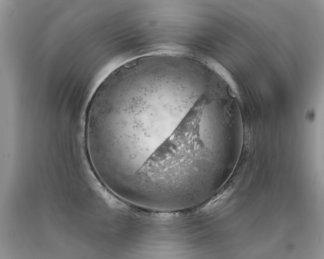 X0000090781099200707201518