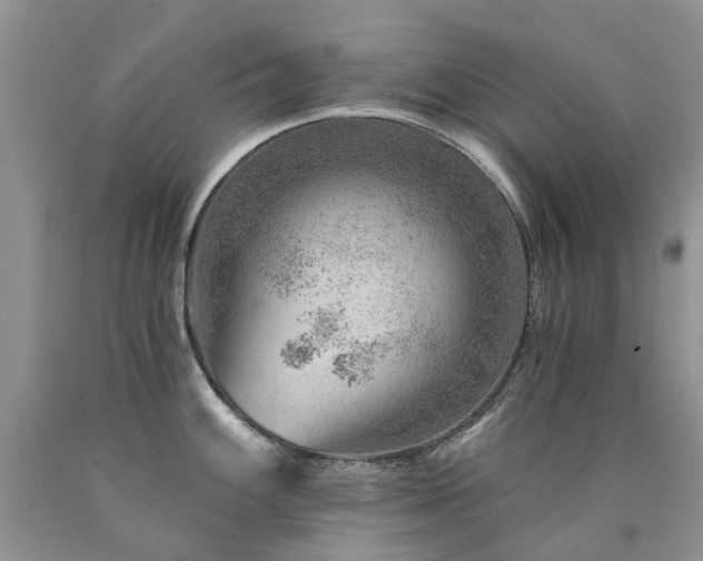 X0000090781100200707201518