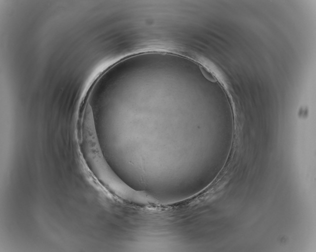 X0000090781104200707201518