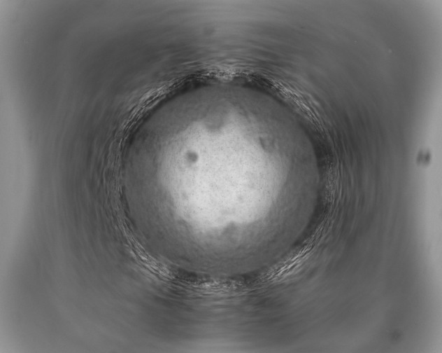 X0000090781105200707201518