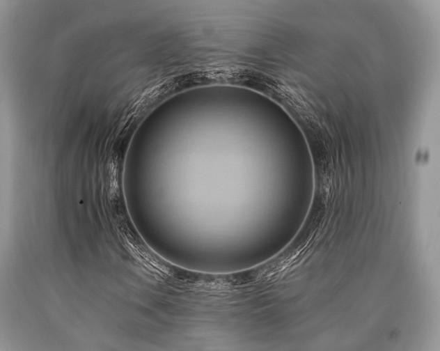X0000090781106200707201518