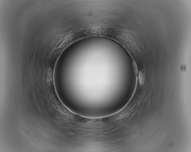 X0000090781107200707201518