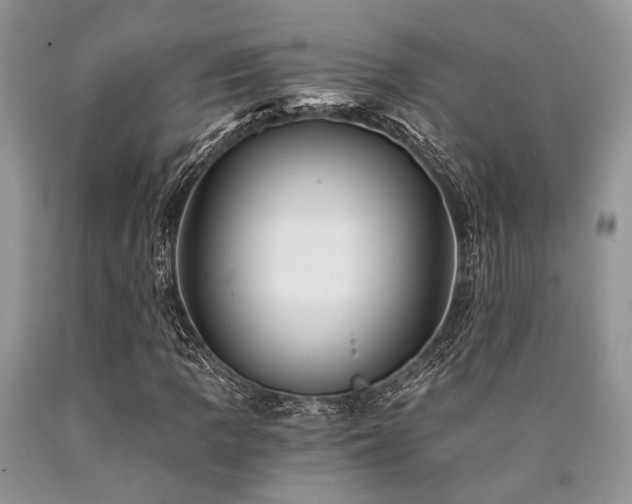 X0000090781109200707201518