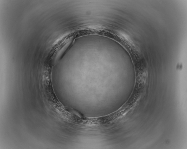 X0000090781110200707201518