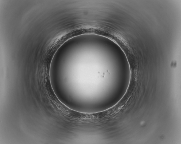 X0000090781111200707201518