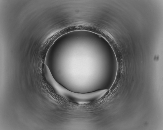 X0000090781112200707201518