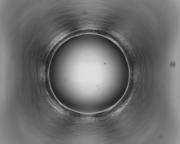 X0000090781113200707201518
