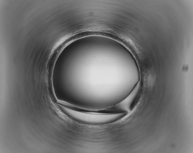 X0000090781114200707201518