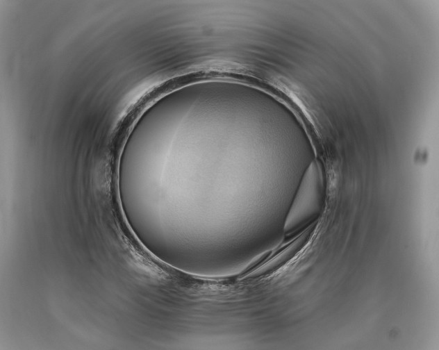 X0000090781115200707201518