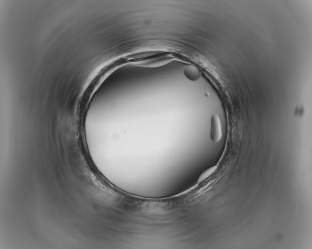 X0000090781116200707201518