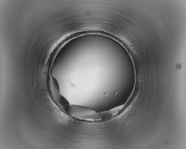 X0000090781118200707201518