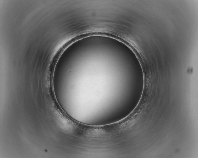 X0000090781119200707201518