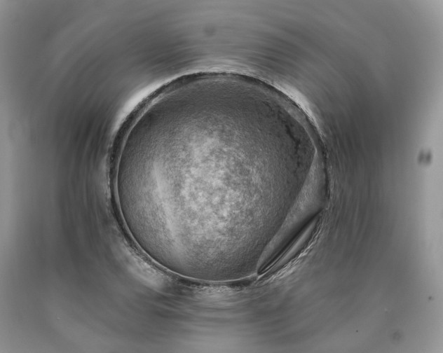 X0000090781120200707201518