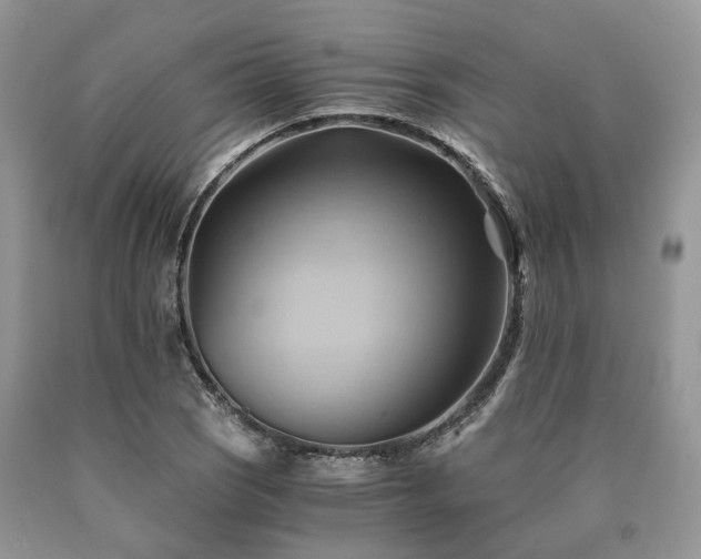X0000090781121200707201518