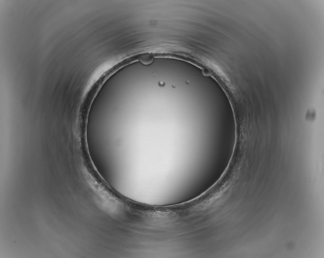 X0000090781122200707201518