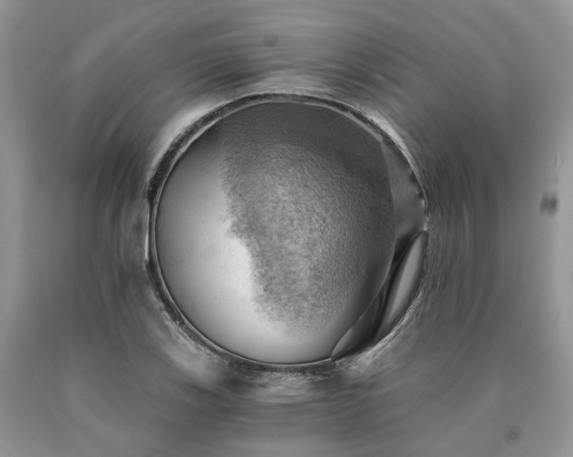 X0000090781123200707201518