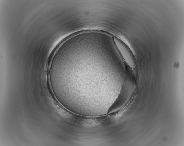 X0000090781124200707201518