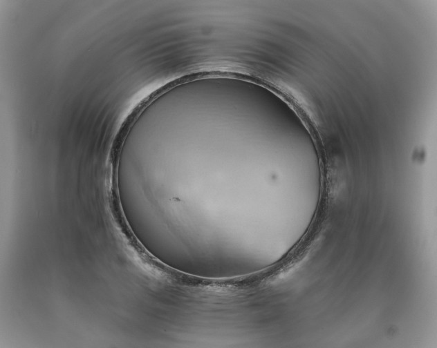 X0000090781125200707201518