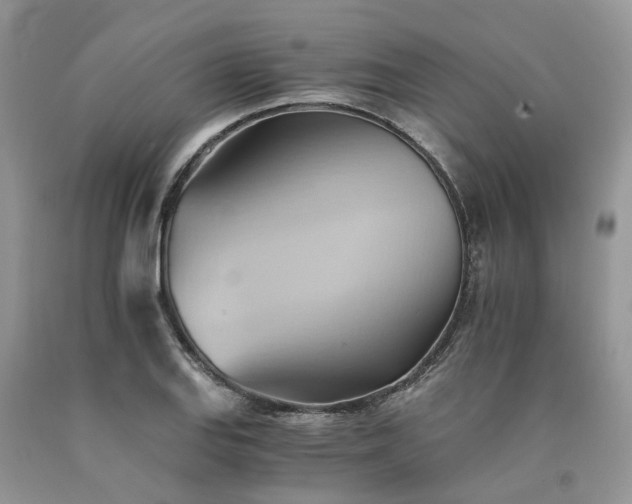X0000090781127200707201518