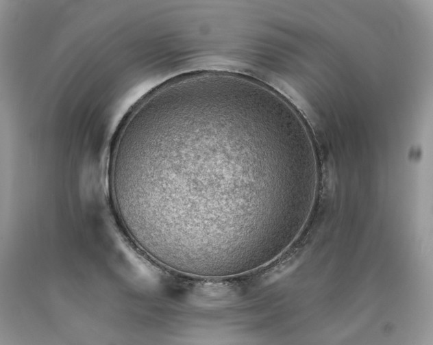 X0000090781128200707201518