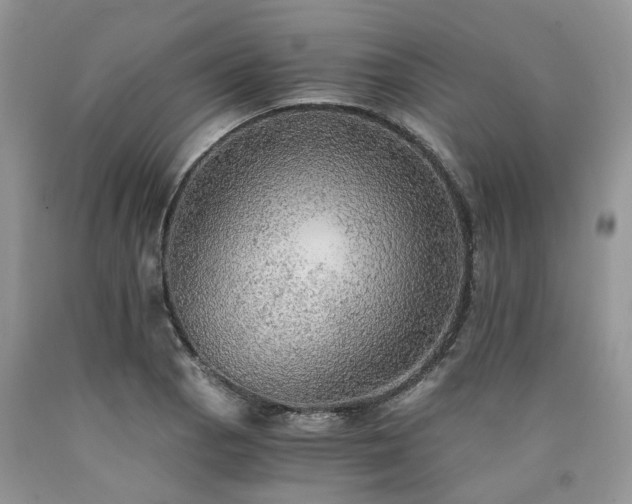 X0000090781129200707201518
