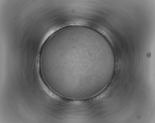X0000090781130200707201518